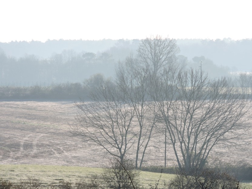 frosty morn, chimney smoke, lambs, 094